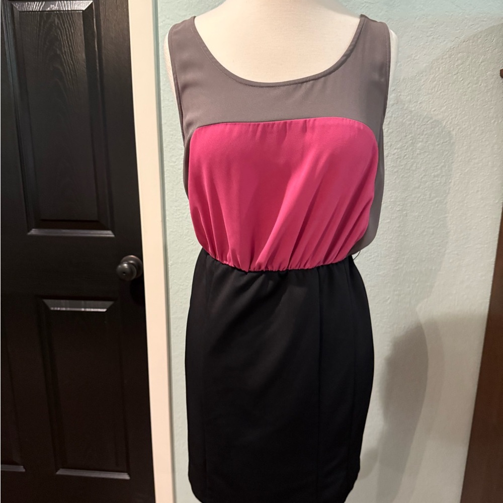 C. Luce Gray and Pink Ruched Sheath Dress
